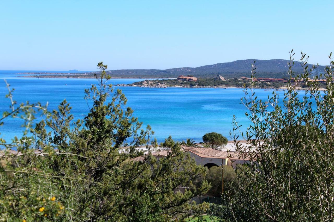Casa Vacanze Il Cisto - Golfo Di Marinella Villa Porto Rotondo Exteriör bild