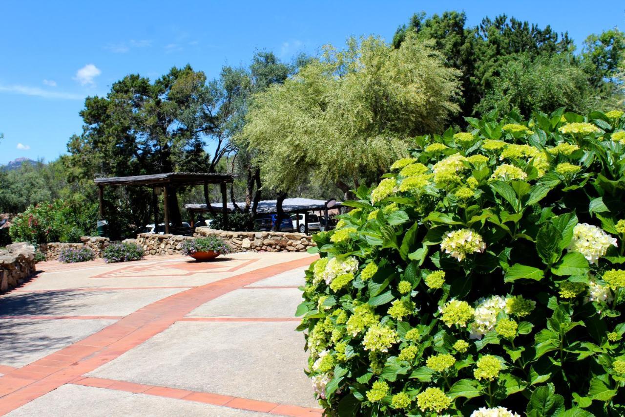 Casa Vacanze Il Cisto - Golfo Di Marinella Villa Porto Rotondo Exteriör bild